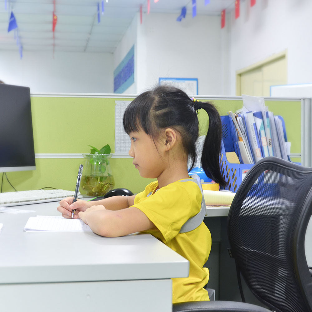 PostureBuddy Smart Corrector